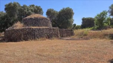 Apulian kırsalında zeytin ağaçları ve tipik ev manzarası