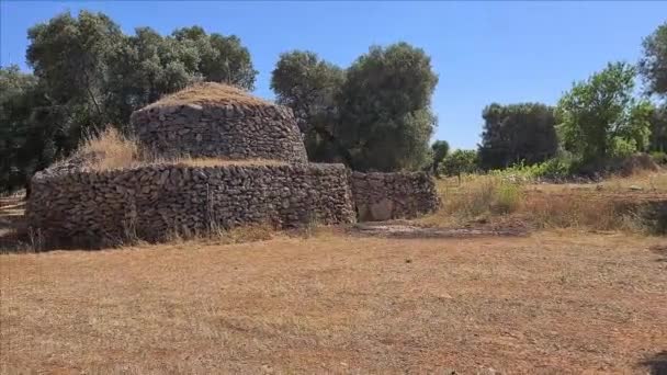 아풀리아의 시골 지역에서 볼 수있는 올리브 나무와 집 의전 형적 인 풍경 — 비디오