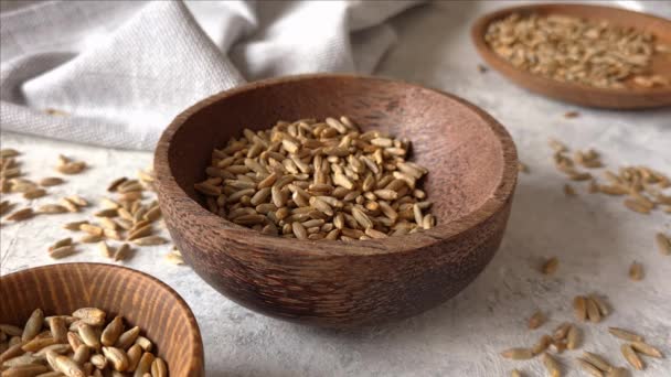 Raw rye seeds in a bowl — Stock Video