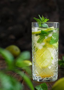 Ev yapımı tazeleyici mojito kokteyli, uzun bardakta, yakın plan.