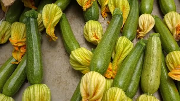 Zucchini与市场上销售的花卉的特写 — 图库视频影像