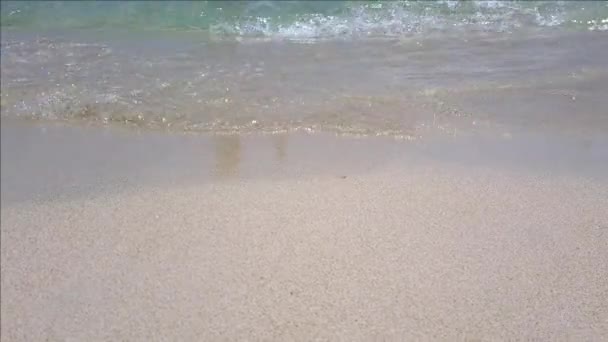 Close up de pernas femininas andando ao longo da praia — Vídeo de Stock