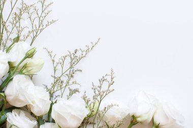 Beyaz arkaplan görünümlü beyaz çiçekler