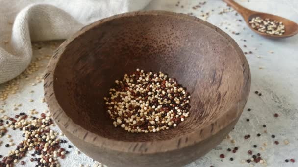 Skål med rå tricolor Quinoa — Stockvideo