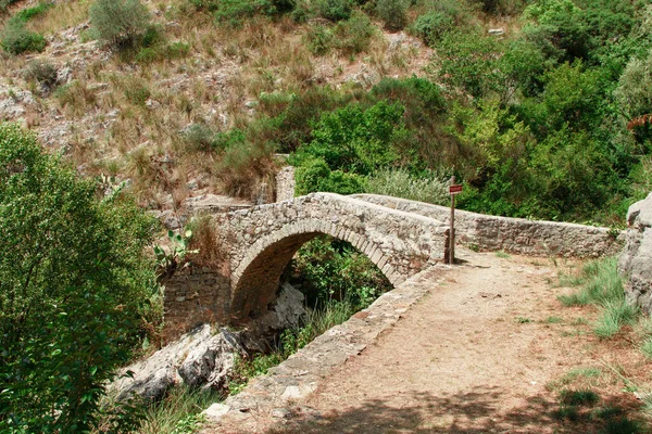 Средневековый Мост Через Реку Аусо Национальном Парке Чиленто Кампания Италия — стоковое фото