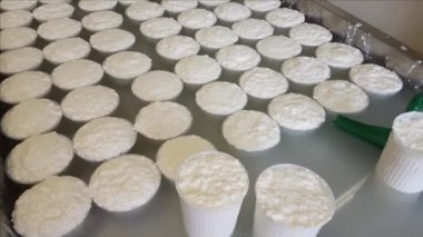 İtalya 'daki peynir fabrikasında plastik kalıplı taze Ricotta peyniri.
