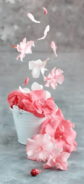 Bílý Kbelík Plný Růžových Květin Šedém Stole Zblízka — Stock fotografie