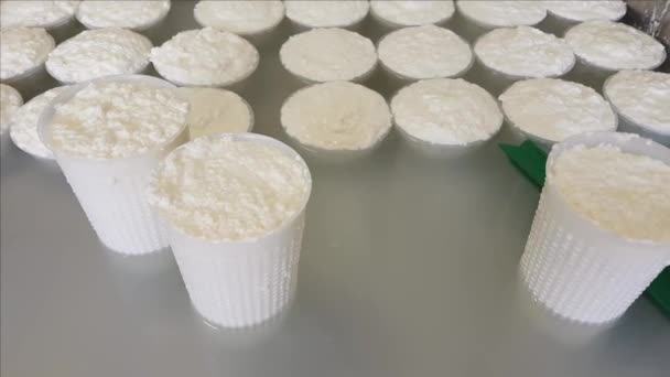 Queso Ricotta fresco en moldes de plástico en la fábrica de queso en Italia — Vídeos de Stock