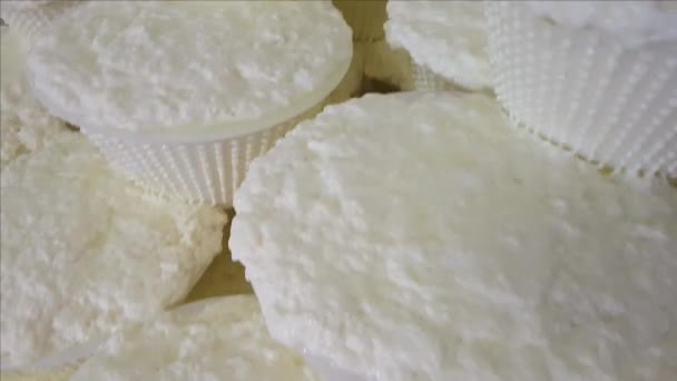 Tuore Ricotta juusto muovi muotit juusto tehdas Italiassa — kuvapankkivideo
