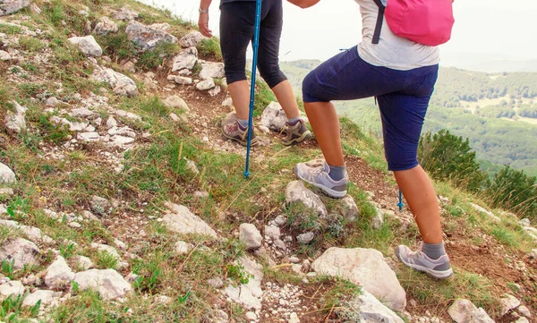 People hiking in mountains with sticks in a sunny day