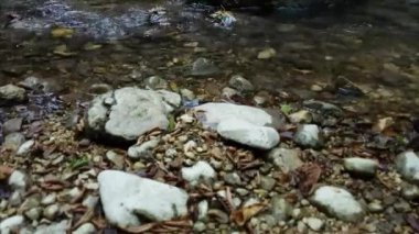 Dağ nehri deresinde yürüyen bir yürüyüşçü. Yaklaş.