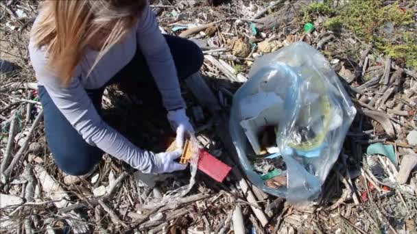 Ung kvinna rengöring strand område från plast — Stockvideo