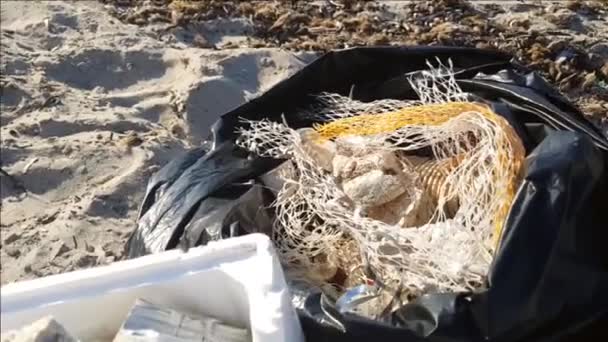 Plast som samlats in från stranden av frivilliga under rengöringen — Stockvideo