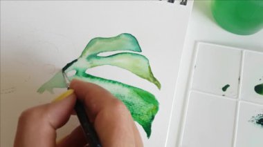 Kadın, Monstera yaprağını suluboya ile boyuyor.