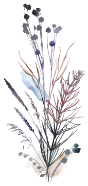 Kurumuş yapraklar, çimenler, tohumlar ve kır çiçeklerinden yapılmış suluboya boho sonbahar buketi - bej, kahverengi, gri, sessiz pembe, düğün davetiyeleri ve parti tasarımı için izole edilmiş çizimler