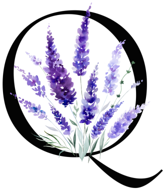 Siyah Q harfi mor lavanta çiçekleri ve yapraklarıyla monogram izole edilmiş. Bahar ve yaz için çiçek alfabesi. Romantik bahçe kırtasiyesi ve parti tasarımı.