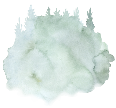 El yapımı suluboya yeşil ladin ya da çam ağaçları sisli orman iskeleti, her zaman yeşil kozalaklı ağaçlar izole edilmiş resimlerdir. Kışın düğün kırtasiyesi ve tatil partisi davetiyeleri için monokrom elementi, kopya alanı