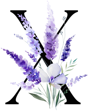 Üzerinde mor lavanta çiçekleri ve yaprakları olan siyah X harfi, monogram izole bir illüstrasyon. Bahar ve yaz için çiçek alfabesi. Romantik bahçe kırtasiyesi ve parti tasarımı.