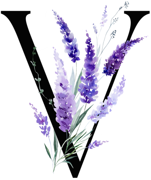 Üzerinde mor lavanta çiçekleri ve yaprakları olan siyah V harfi, monogram izole bir illüstrasyon. Bahar ve yaz için çiçek alfabesi. Romantik bahçe kırtasiyesi ve parti tasarımı.