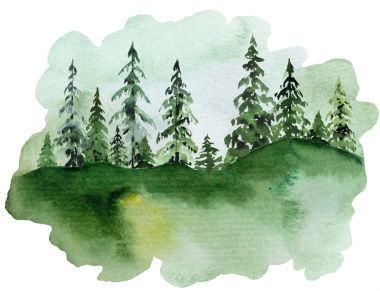 El yapımı suluboya yeşil ladin ya da çam ağaçları sisli orman iskeleti, her zaman yeşil kozalaklı ağaçlar izole edilmiş resimlerdir. Kışın düğün kırtasiyesi ve tatil partisi davetiyeleri için monokrom elementi, kopya alanı