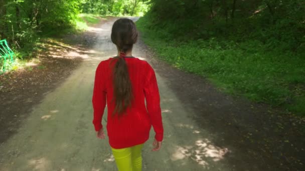 Petite fille marchant dans la forêt avec une boîte de pique-nique, vue de dos, steadicam shot — Video