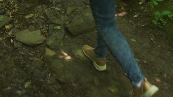 Steadicam Shot. gambe femminili in scarpe da ginnastica passano attraverso la foresta bagnata montagna, con pietre muschiate e radici d'albero, prospettiva personale, 4k, rallentatore — Video Stock