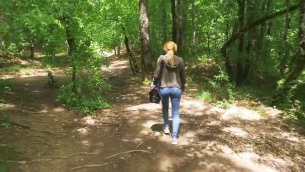 Fotógrafa mujer caminando en el bosque con una bolsa de la cámara, vista trasera, stedikam tiro. 4k, cámara lenta — Vídeos de Stock