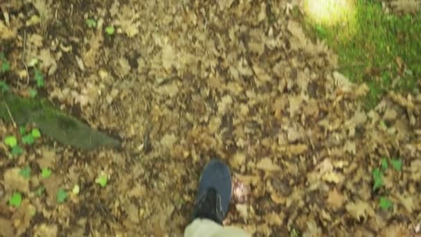 Steadicam Shot. piernas masculinas en zapatillas de deporte van a través de la montaña húmeda Bosque, con piedras musgosas y raíces de árboles, perspectiva personal de la vista, 4k, cámara lenta — Vídeo de stock