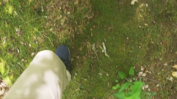 Steadicam Shot. gambe maschili in scarpe da ginnastica passano attraverso la foresta bagnata montagna, con pietre muschiate e radici d'albero, prospettiva personale, 4k, rallentatore — Video Stock