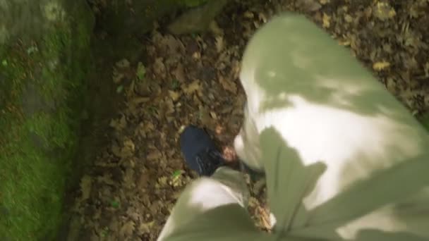 Steadicam Shot. gambe maschili in scarpe da ginnastica passano attraverso la foresta bagnata montagna, con pietre muschiate e radici d'albero, prospettiva personale, 4k, rallentatore — Video Stock