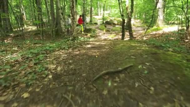 Een jongen en een meisje lopen in de bossen, achterste weergave, schoot een stam. 4k, slow-motion — Stockvideo