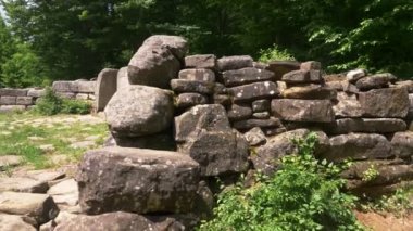 Dolmen ormanın içinde. 4k, ağır çekim. Steadicam atış