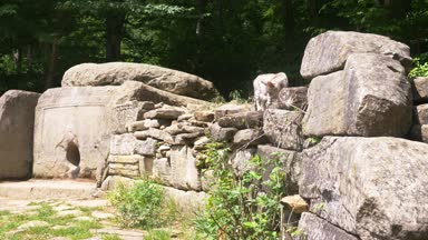 kedi, Dolmen ikamet Dolmen ormanın içinde. 4k, ağır çekim. Steadicam atış
