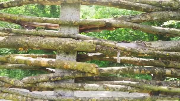 Fonott kerítés. Közelkép, textúra, 4 k, lassú mozgás, lövés Steadicamnél — Stock videók