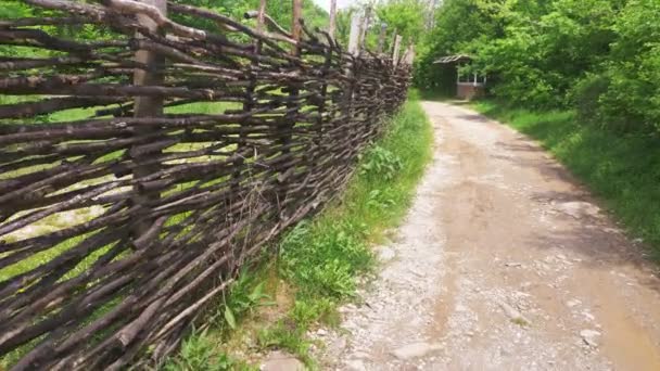 Плетеный забор вдоль лесной тропы. Steadicam Shot, 4k, slow-motion — стоковое видео