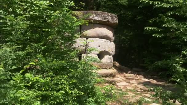 Dolmen dans la forêt. 4k, au ralenti. Steadicam Shot — Video