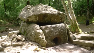 Dolmen ormanın içinde. 4k, ağır çekim. Steadicam atış