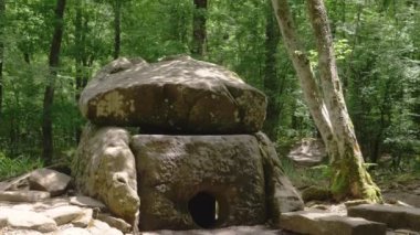 Dolmen ormanın içinde. 4k, ağır çekim. Steadicam atış