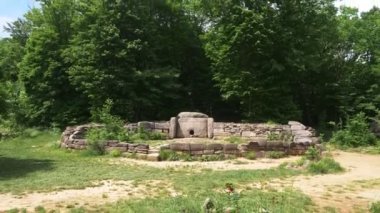 Dolmen ormanın içinde. 4k, ağır çekim. Steadicam atış