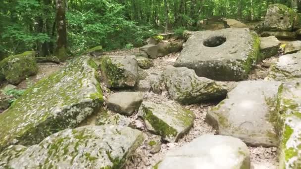 Dolmen v lese. 4k, zpomalené. Steadicam Shot — Stock video