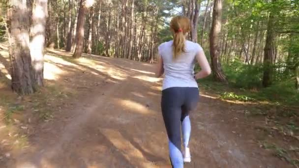 Kobieta ucieka na szlak w lesie słoneczne lato. motywacji do aktywności sportowej, na zewnątrz, szkolenia i ćwiczeń w pięknej przyrody. Słoneczny blask, zwolnionym tempie 4k, steadicam strzał — Wideo stockowe