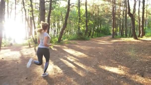 Woman running away on a trail in the sunny summer forest. motivation for sports activity outdoors, training and exercising in beautiful nature. solar glare, slow-motion 4k, steadicam shot — Stock Video