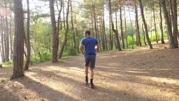 Man running away on a trail in the sunny summer forest. motivation for sports activity outdoors, training and exercising in beautiful nature. solar glare, slow-motion 4k, steadicam shot — Stock Video
