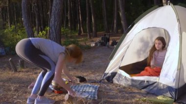 turistler yanında deniz manzarası muhteşem manzaralı pine Grove dik bir sahil kenarında bir çadır kamp yemek yeme, mutlu bir aile. 4k.
