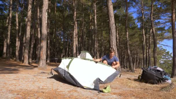 Мужчина-турист ставит палатку на краю крутого прибрежного берега в сосновой роще с великолепным видом на море. 4k . — стоковое видео