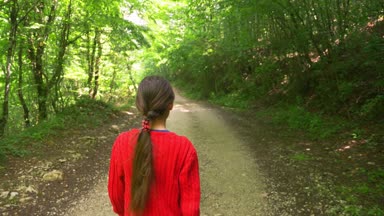 Küçük kız bir piknik kutusu, arkadan görünüm, atış steadicam ormanıyla yürürken