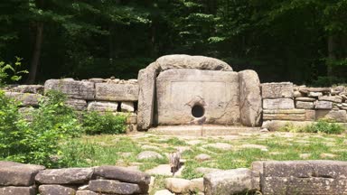 kedi, Dolmen ikamet Dolmen ormanın içinde. 4k, ağır çekim. Steadicam atış