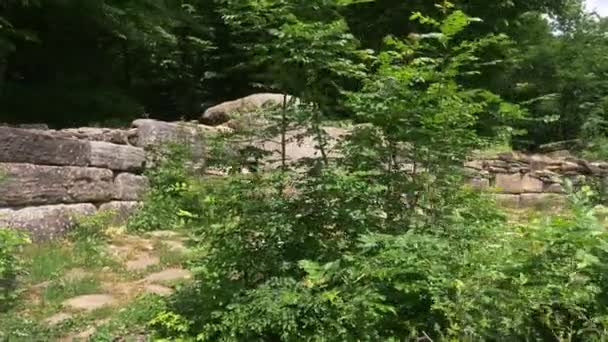 Dolmen en el bosque. 4k, cámara lenta. Steadicam Shot — Vídeo de stock