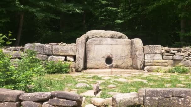 Gatto, residente di dolmen, Dolmen nella foresta. 4k, rallenta. Colpo di Steadicam — Video Stock