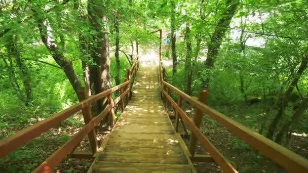 Стедикам Шот. кто-то идет по ступенькам деревянной лестницы в лесу, личная перспектива, 4к, замедленная съемка — стоковое видео